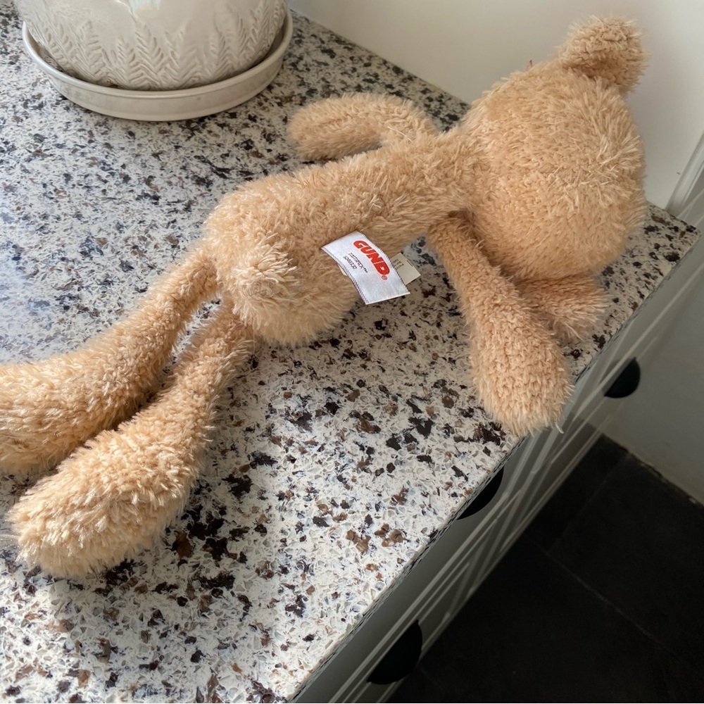 GUND Toothpick Bear 16” NWT - Picture 4 of 6